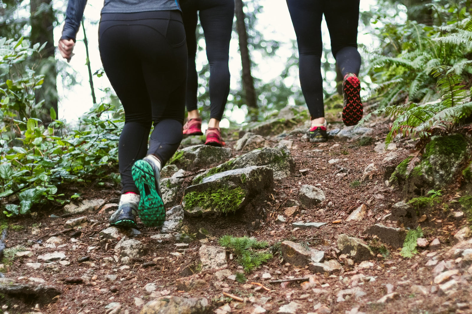 Embracing the Terrain: The Ultimate Guide to Trail Running in The Cape
