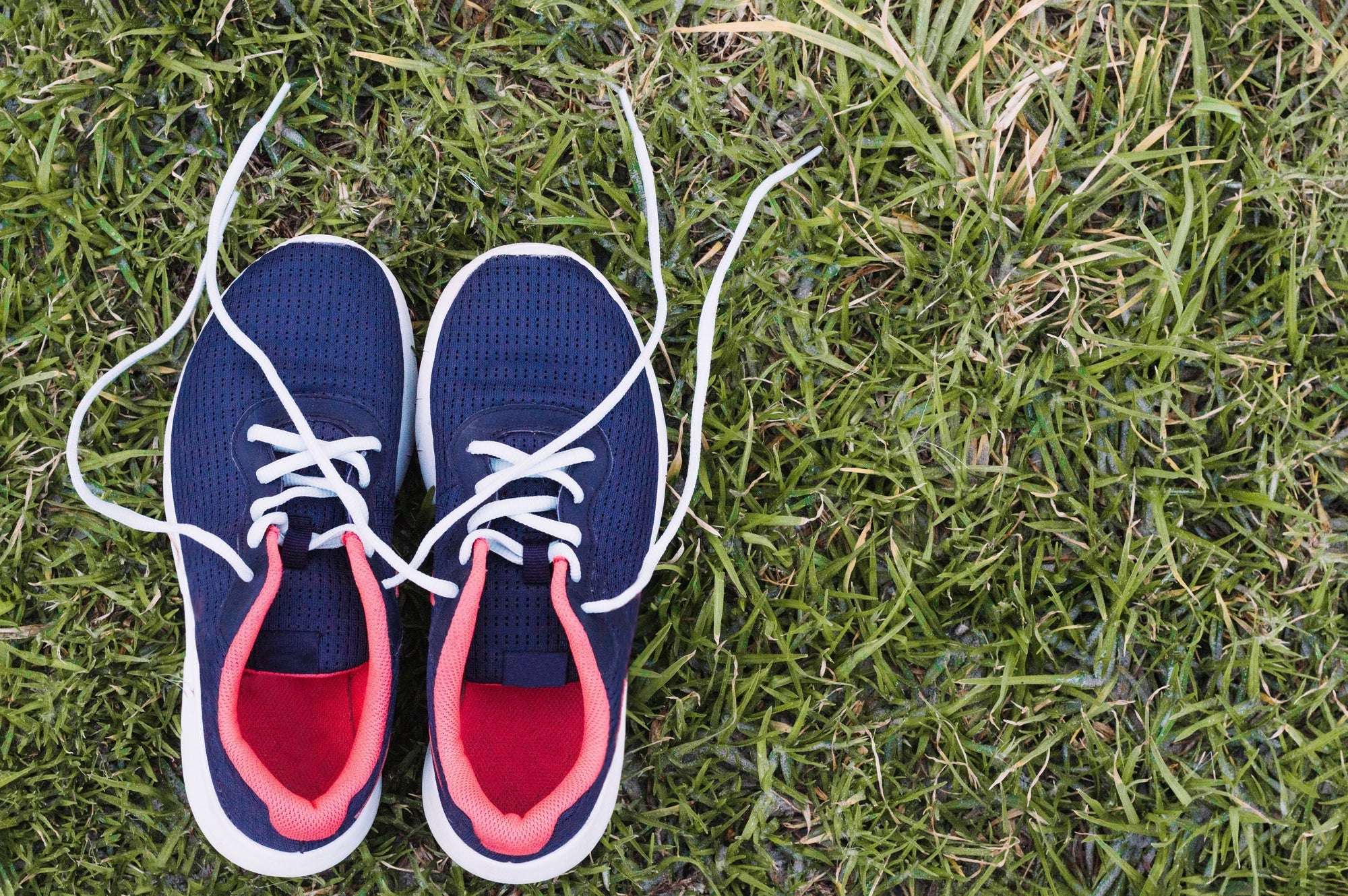 A lone pair of purple running shoes with pink running shoe inserts, sitting on a grass field