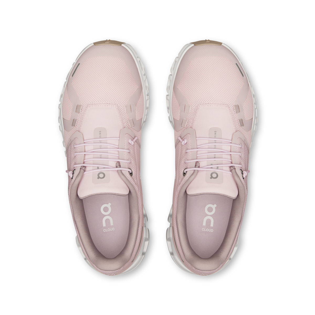 Cloud 6.0 Orchid|Fade