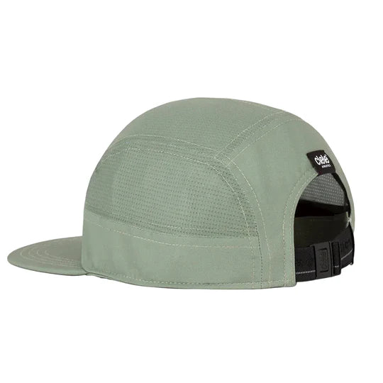 GOCap-Comp-Century-Toad