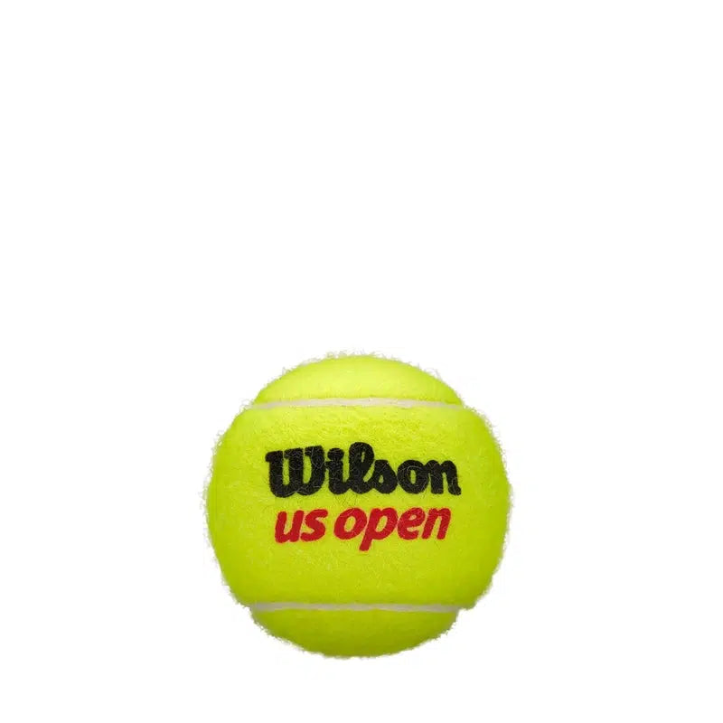 Wilson US Open Extra Duty Tennis Balls (WRT106200)-Wilson